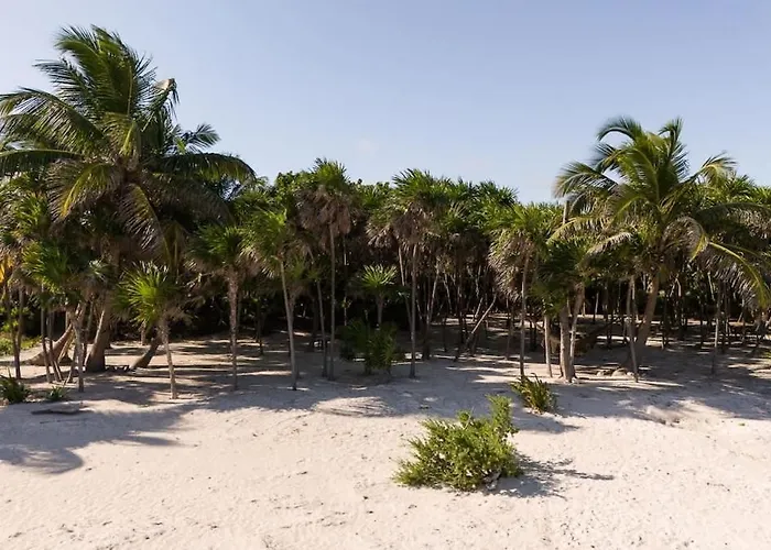 Casa Xik'nal - Luxury Front * Tulum